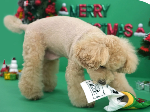 Peanuts Christmas Pocket Book Toy