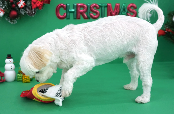 Peanuts Christmas Pocket Book Toy