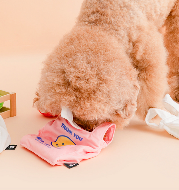 Crinkle Vinyls Pocket Toy