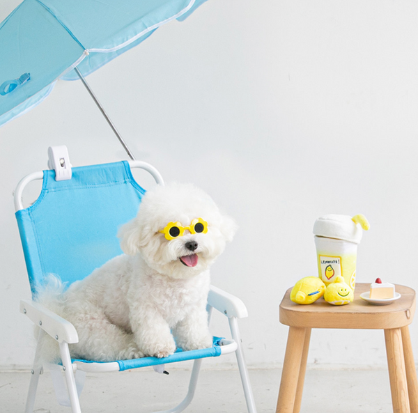 Second Morning Lemonade Toy