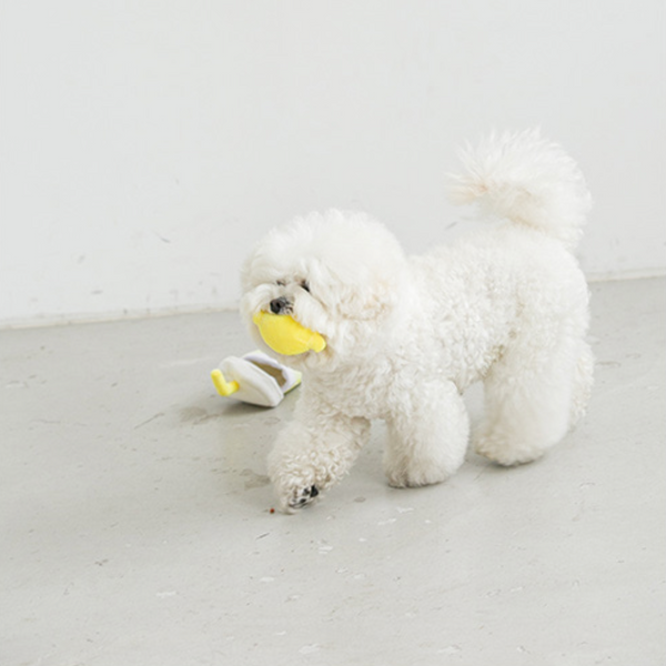 Second Morning Lemonade Toy