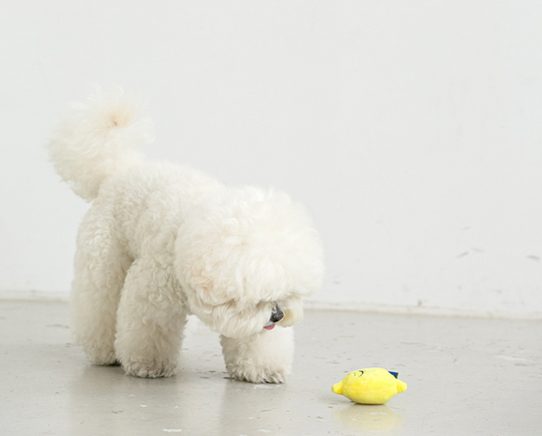 Second Morning Lemonade Toy