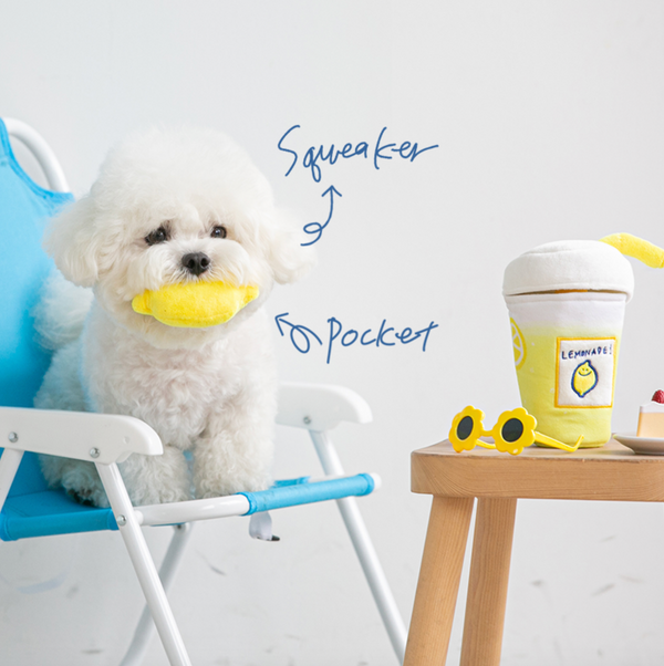 Second Morning Lemonade Toy