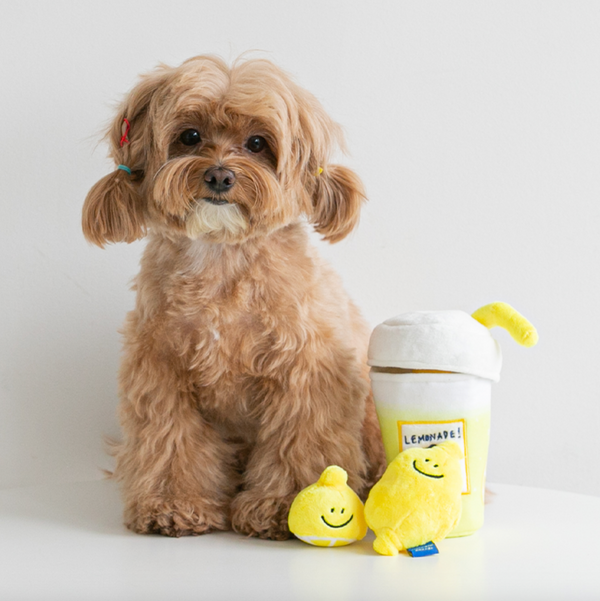 Second Morning Lemonade Toy