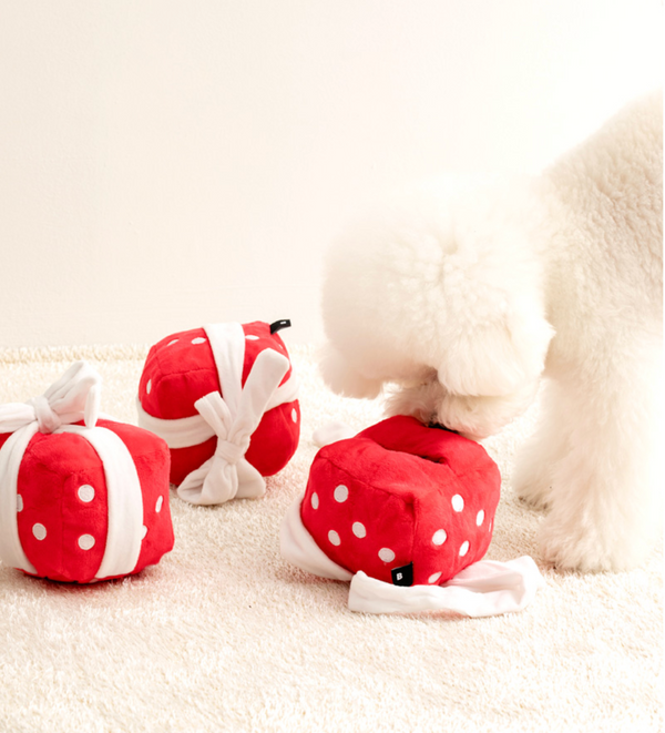 Gift Box Nose Work Toy