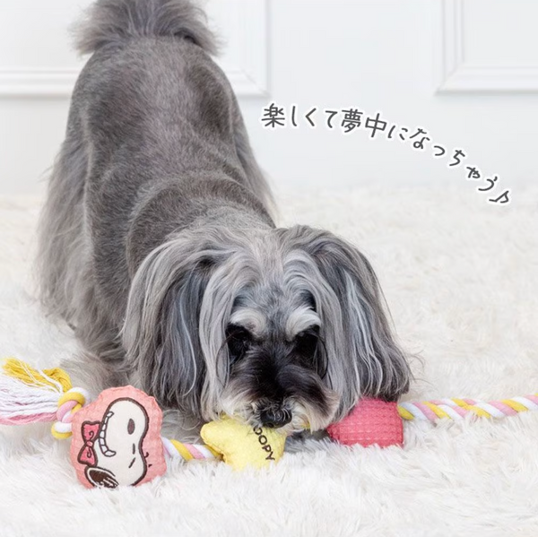 Snoopy Long Rope Toy