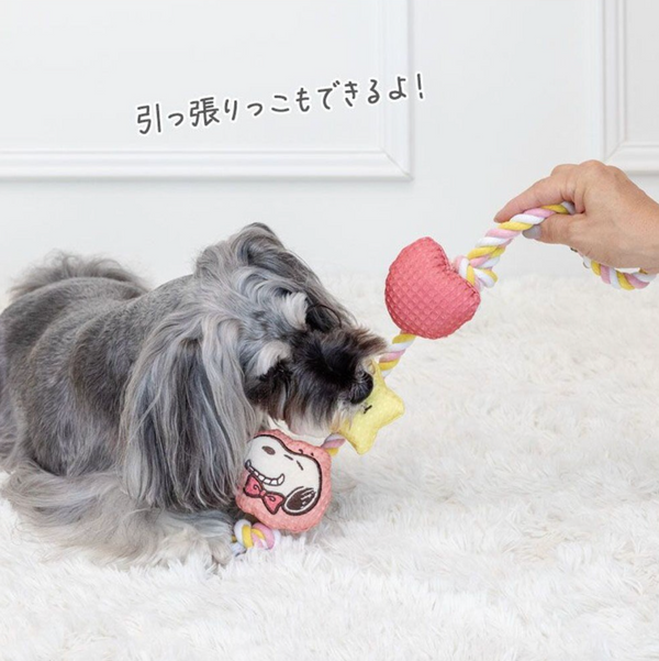 Snoopy Long Rope Toy