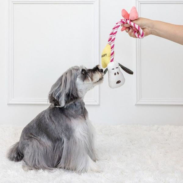 Snoopy Ribbon Rope Toy