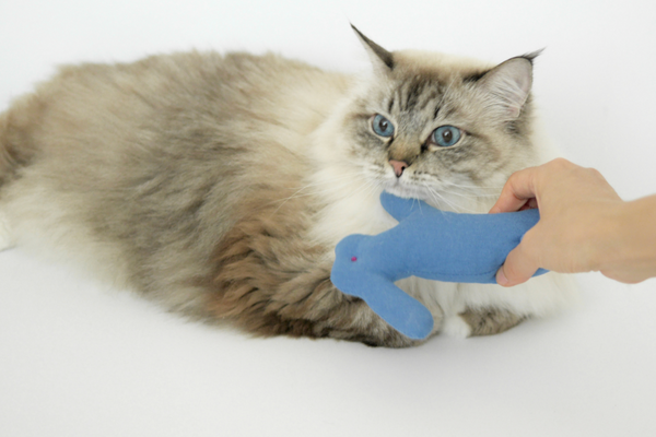 Dal Toki Catnip Cushion Toy