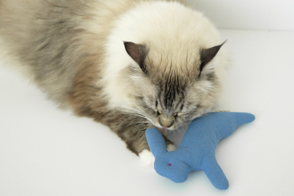 Dal Toki Catnip Cushion Toy