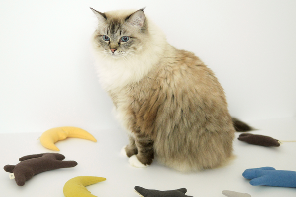 Dal Toki Catnip Cushion Toy