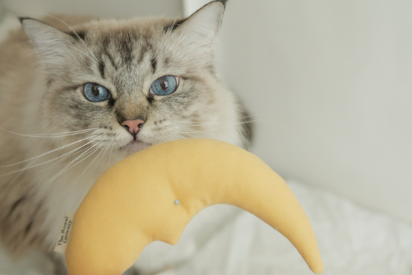 Old Moon Catnip Cushion Toy