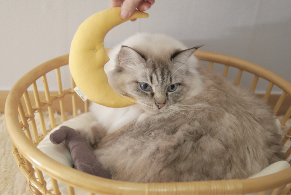 Old Moon Catnip Cushion Toy