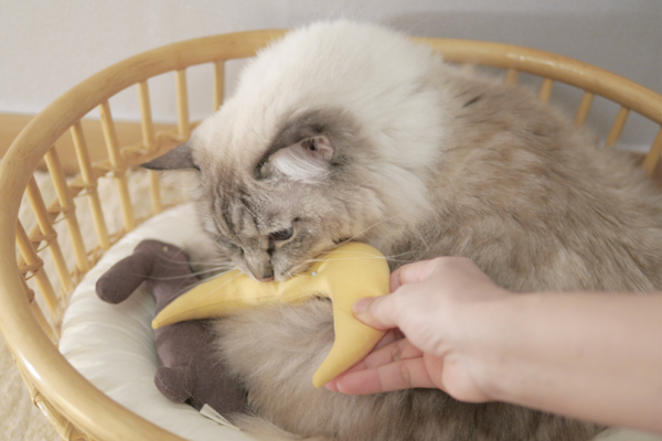 Old Moon Catnip Cushion Toy