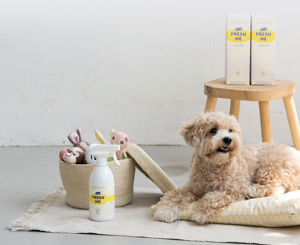 Deodorizer - Fresh Me