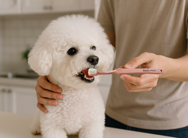 Long Pet Toothbrush