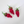 Strawberry Silvervine Cat Teaser Wand Refill Toy