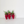 Strawberry Silvervine Cat Teaser Wand Refill Toy