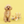 SuperPaw Pet Milk Banana