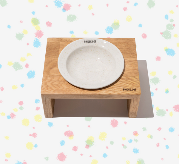[PRE ORDER] Mini Dish - Color Pop (Glossy)
