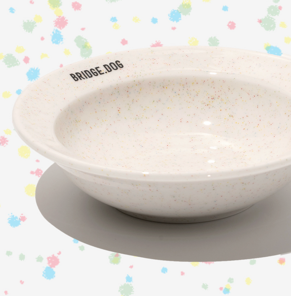 [PRE ORDER] Mini Dish - Color Pop (Glossy)