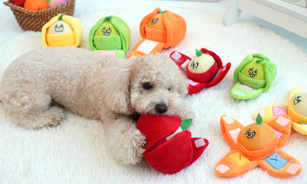 Juicy Pop Fruit Nosework Toy