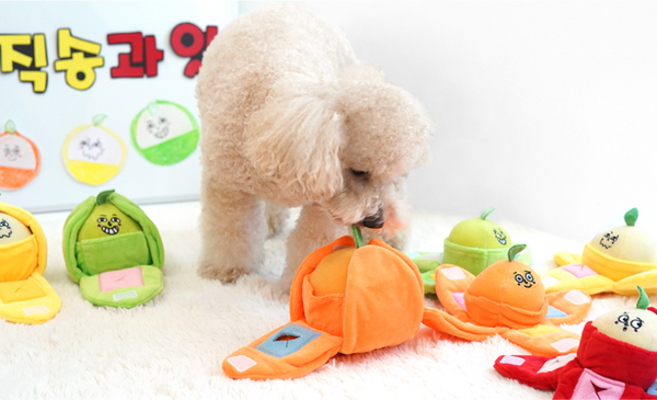 Juicy Pop Fruit Nosework Toy