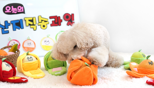 Juicy Pop Fruit Nosework Toy