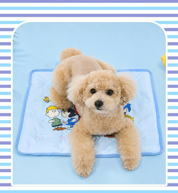 Peanuts Friends Cool Gel Mat