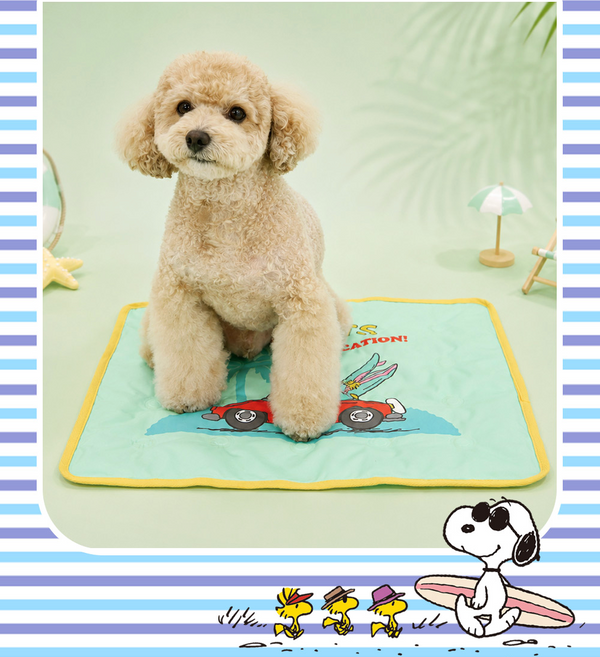 Peanuts Friends Cool Gel Mat