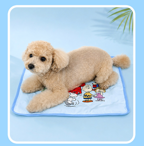Peanuts Friends Cool Gel Mat