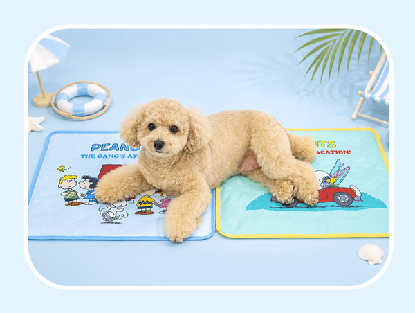 Peanuts Friends Cool Gel Mat