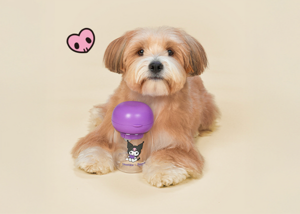 Sanrio One-Touch Water Bottle