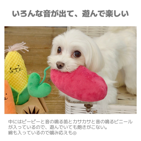 Happy Vegetable Friends 5-Piece Set