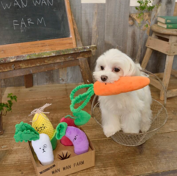 Happy Vegetable Friends 5-Piece Set