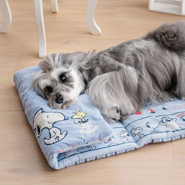 Snoopy Cool Roll Mat