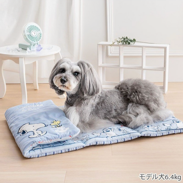 Snoopy Cool Roll Mat