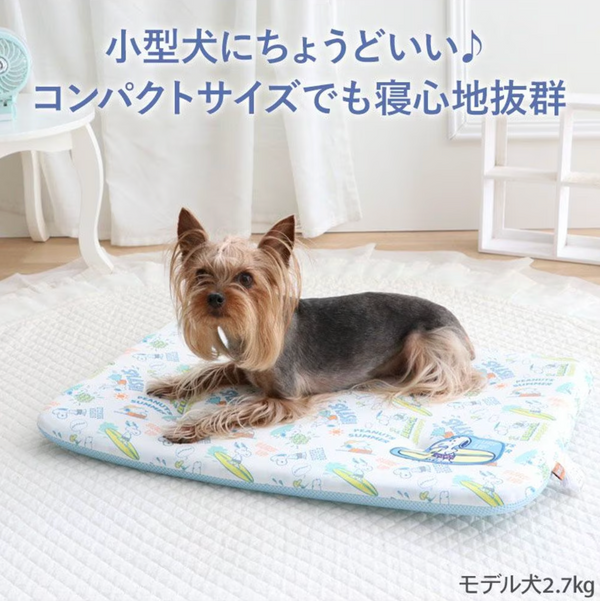 Snoopy Mochitto Cool Mat Small