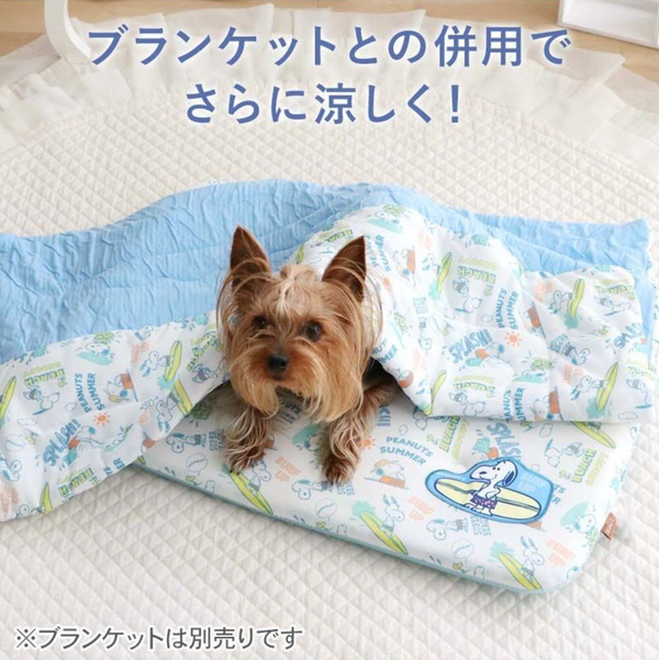 Snoopy Mochitto Cool Mat Small