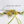 Yellow Dandelion Cat Teaser Wand Refill Toy