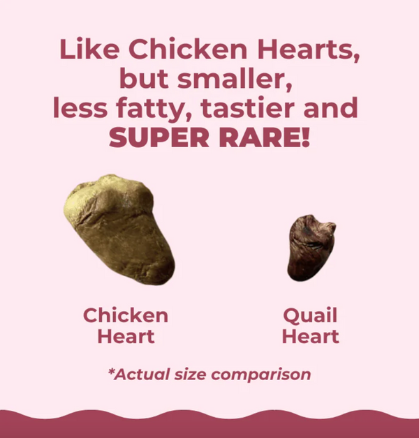 Freeze Dried Quail Hearts
