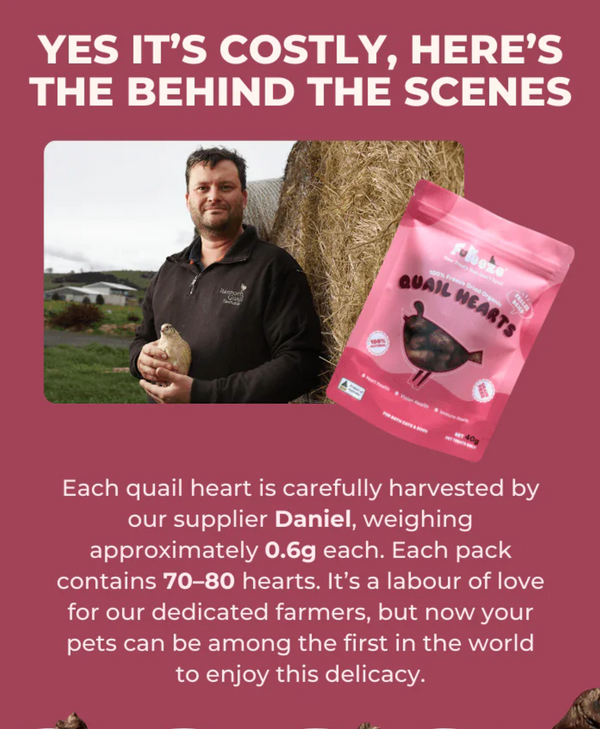 Freeze Dried Quail Hearts