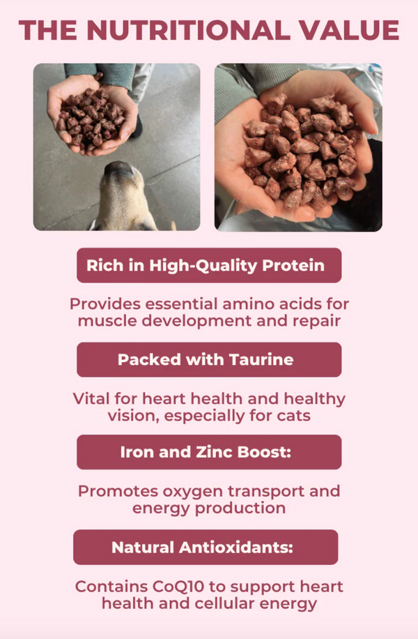 Freeze Dried Quail Hearts