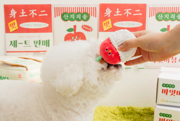 [PRE ORDER] Mixed Fruits Box Nosework Toy