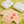 [PRE ORDER] Mixed Fruits Box Nosework Toy