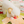 [PRE ORDER] Mixed Fruits Box Nosework Toy