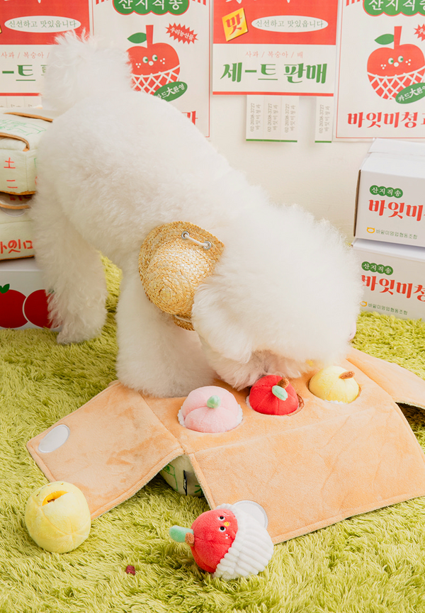[PRE ORDER] Mixed Fruits Box Nosework Toy