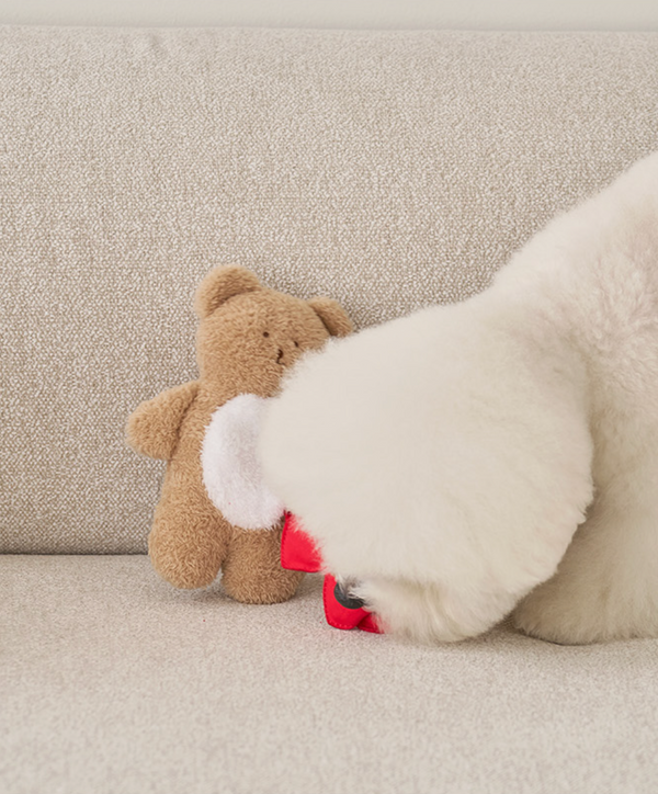 Sniff Sniff Bear Nosework Toy