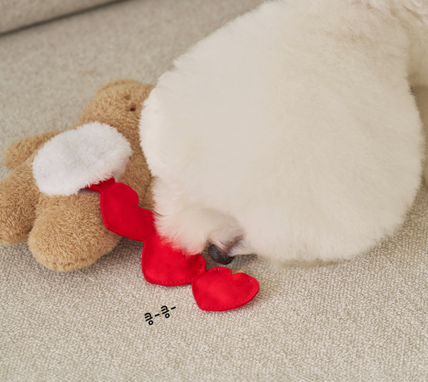 Sniff Sniff Bear Nosework Toy