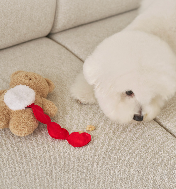 Sniff Sniff Bear Nosework Toy